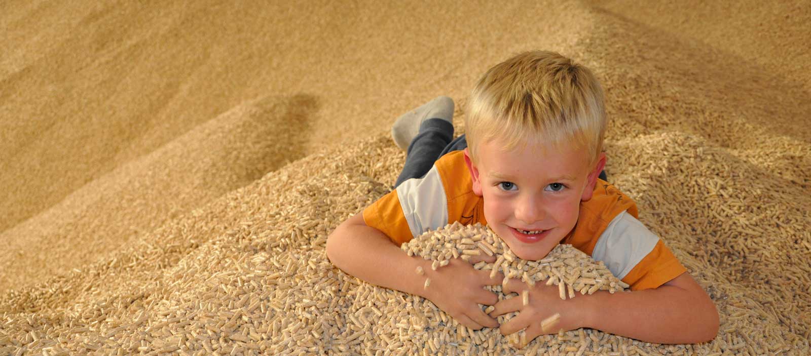 Pellets, Energie mit Zukunft